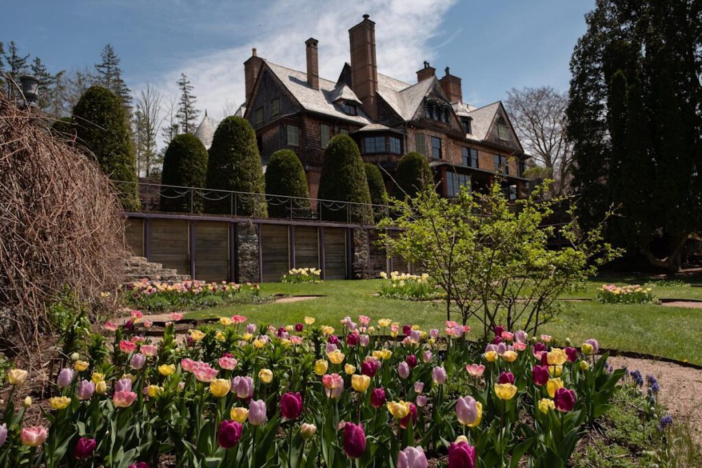 Berkshires in spring